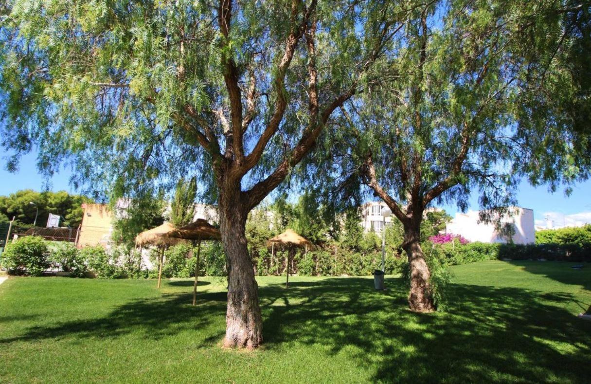 SweetWater Home - Apartamento ideal para tus vacaciones El Campillo del Moro Esterno foto